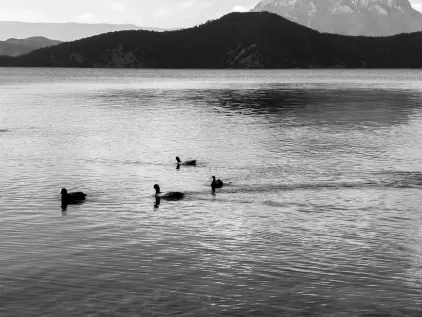 Kasino Midas Apl Mudah Alih